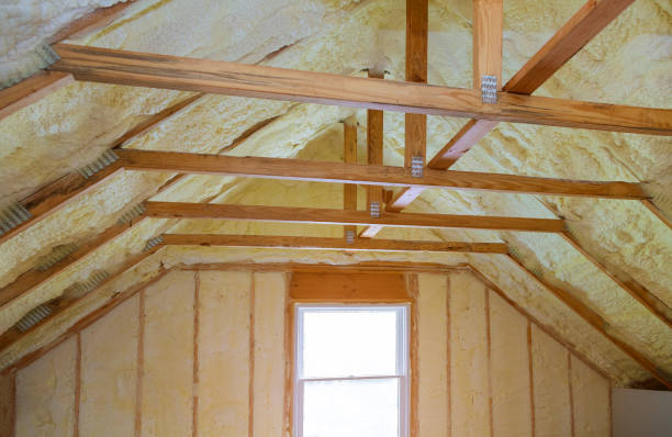 Best Energy-efficient Insulation  in Rowland, NC