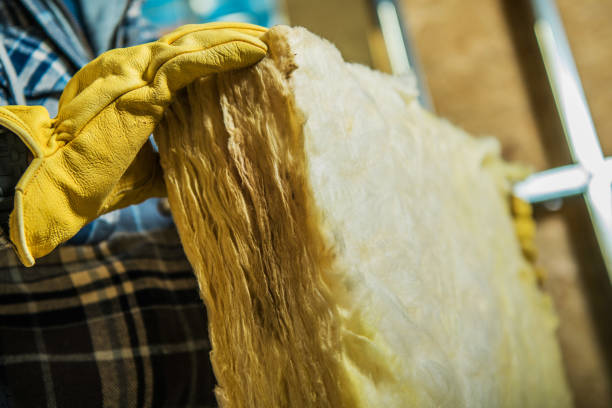 Best Attic Insulation Installation  in Rowland, NC