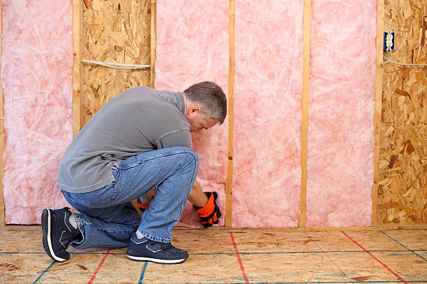 Best Insulation Contractor Near Me  in Rowland, NC