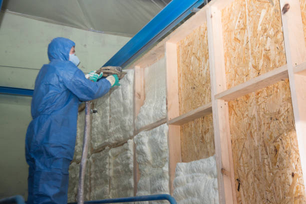 Best Soundproof Insulation Installation  in Rowland, NC
