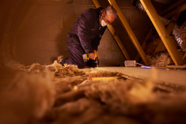 Best Home Insulation Services  in Rowland, NC