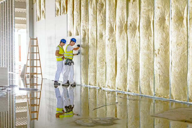 Best Insulation Removal  in Rowland, NC